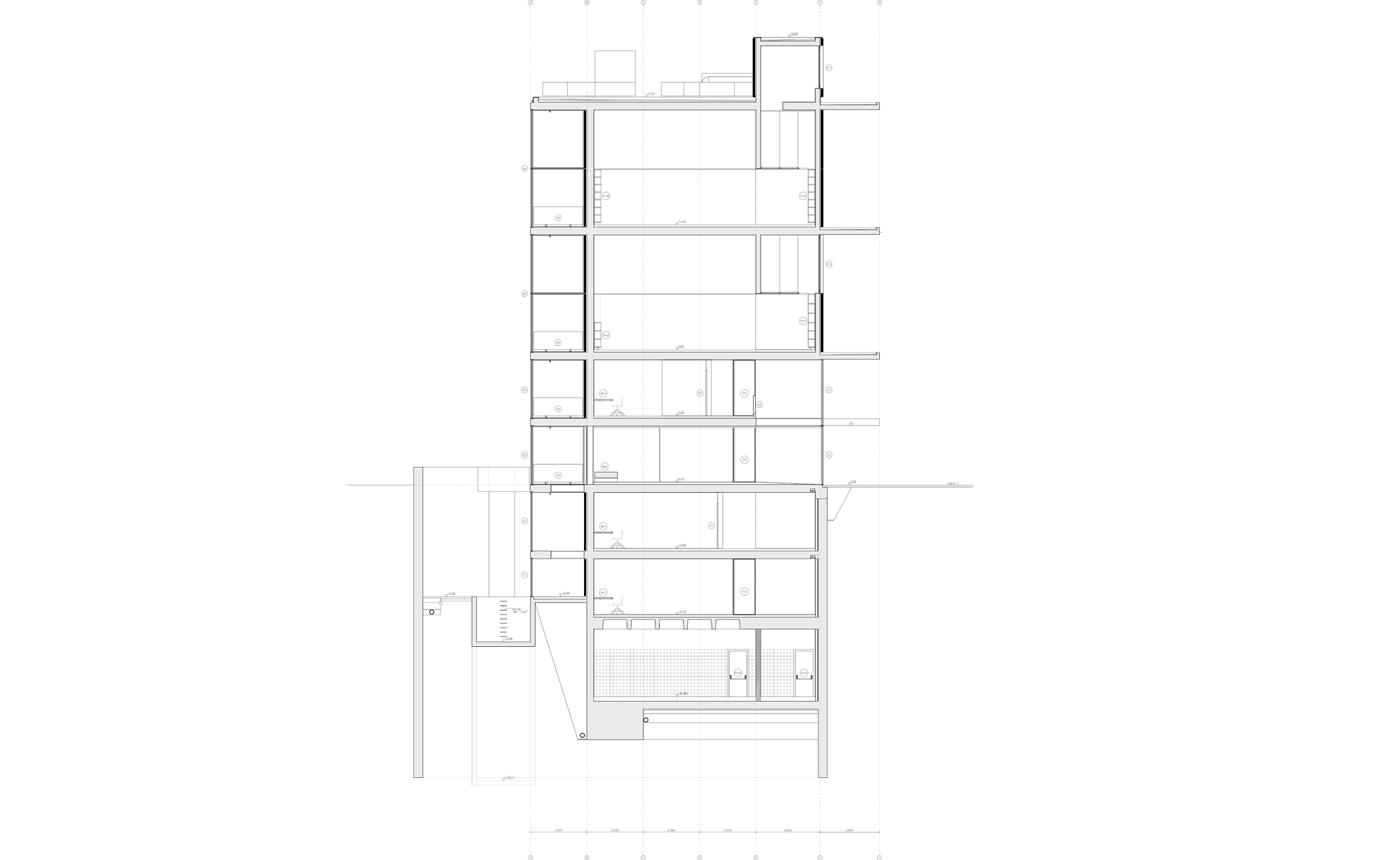 08_corteF