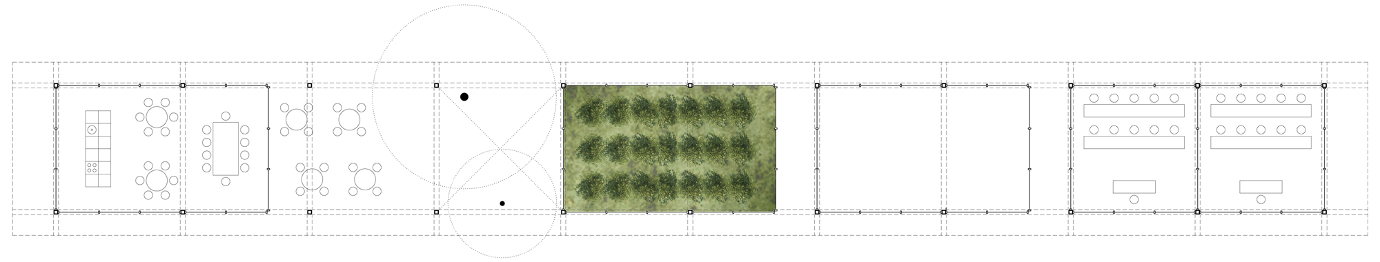 235_3_planta