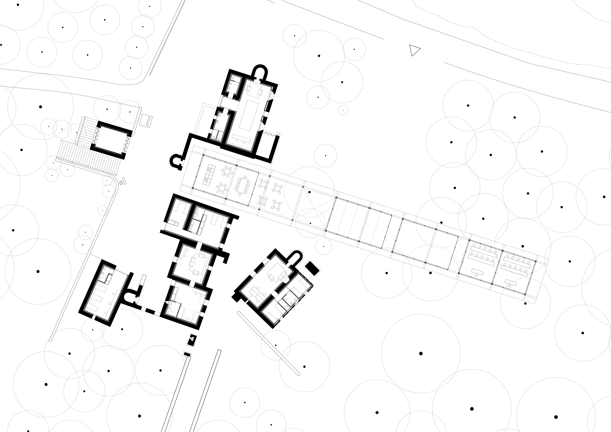 235_planta