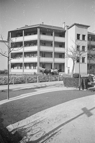 238_arquivo02