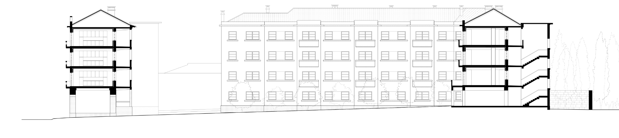 238_corteF