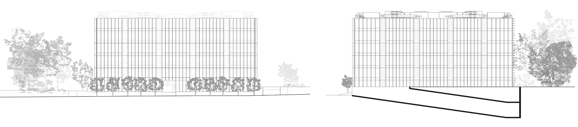 240_alcadosNO